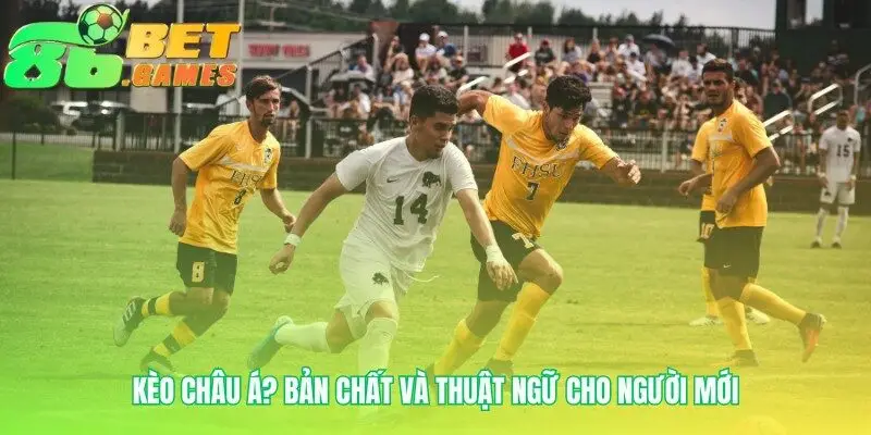 Tìm hiểu ngôn ngữ của những con số