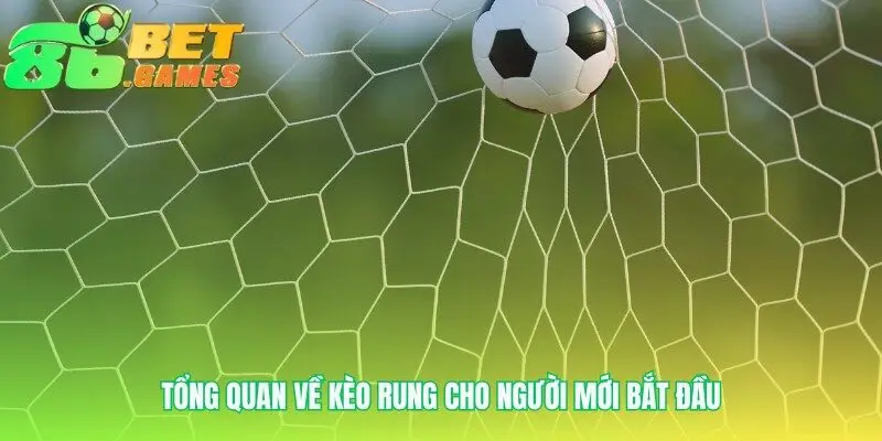 Giải mã nhịp đập của trận đấu đang diễn ra